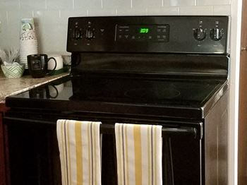 Electric range